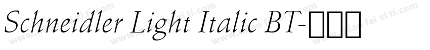 Schneidler Light Italic BT字体转换